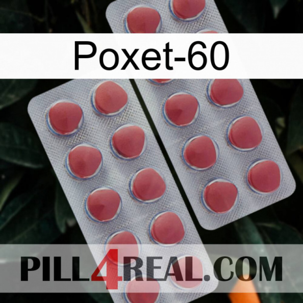 Poxet-60 19.jpg